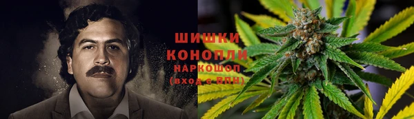 mdpv Инсар
