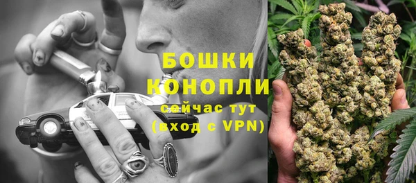 mdpv Инсар