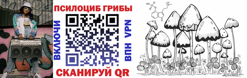 Купить закладки  Дно  Галлюциногенные грибы прущие грибы 